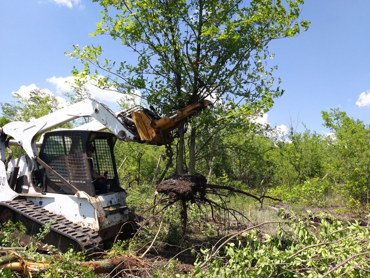 Bobcat!  defrișare a terenurilor agricole. Предлагаем услуги по расчистке. bobcat foto 0