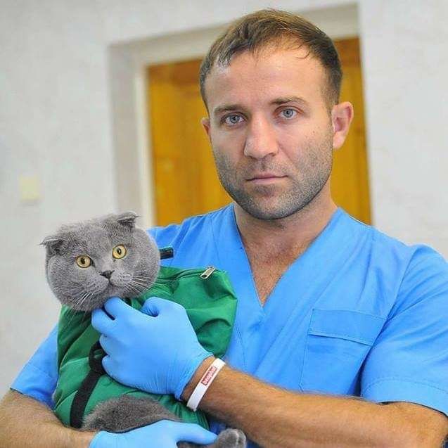 Medic veterinar. foto 1