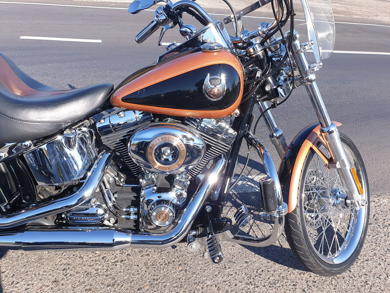 Harley - Davidson FXSTC 105Anniversay foto 2