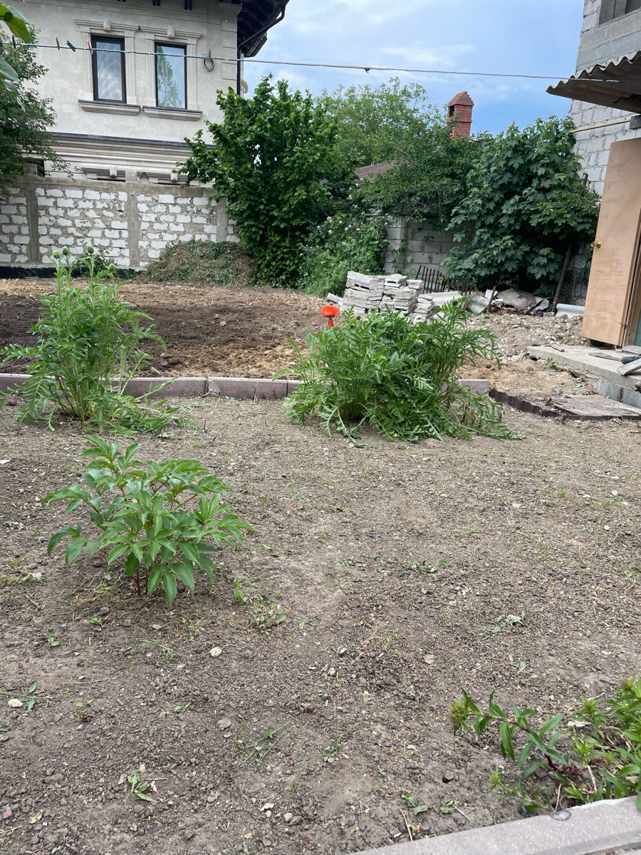 Покос травы и уборка участков. foto 3