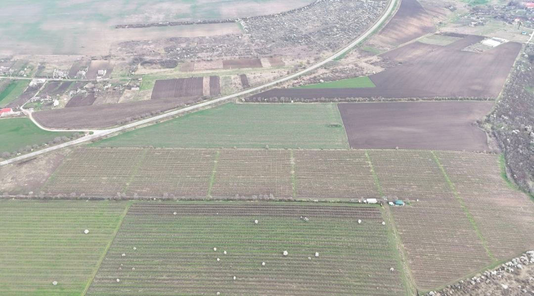 430 Ari teren cu vita de vie Moldova  foto 3