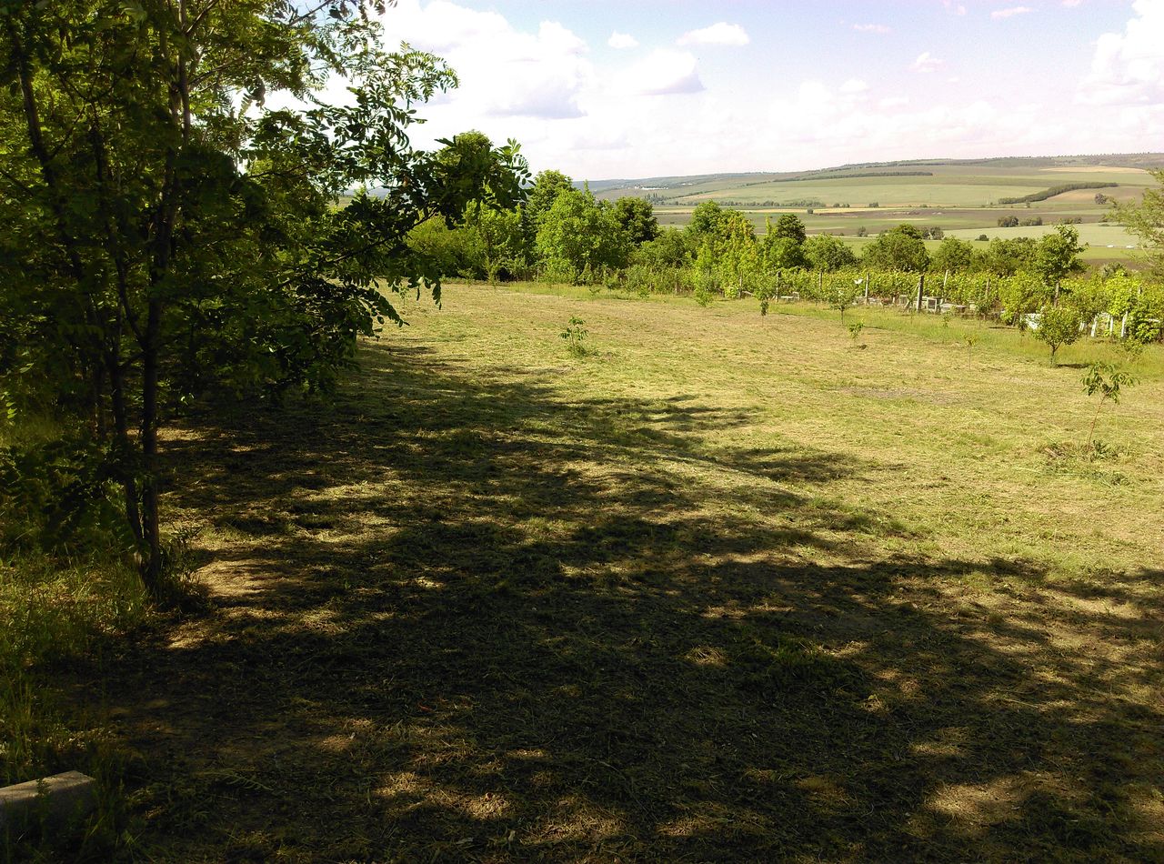 Уборка территорий. Вывоз мусора. Evacuarea gunoiului foto 6