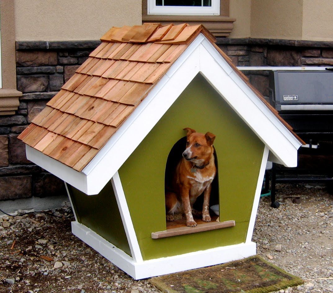 Новый dog house. Собачья конура будка. Конура для 2 собак. Конура домик для собаки. Будка для собаки Теремок.