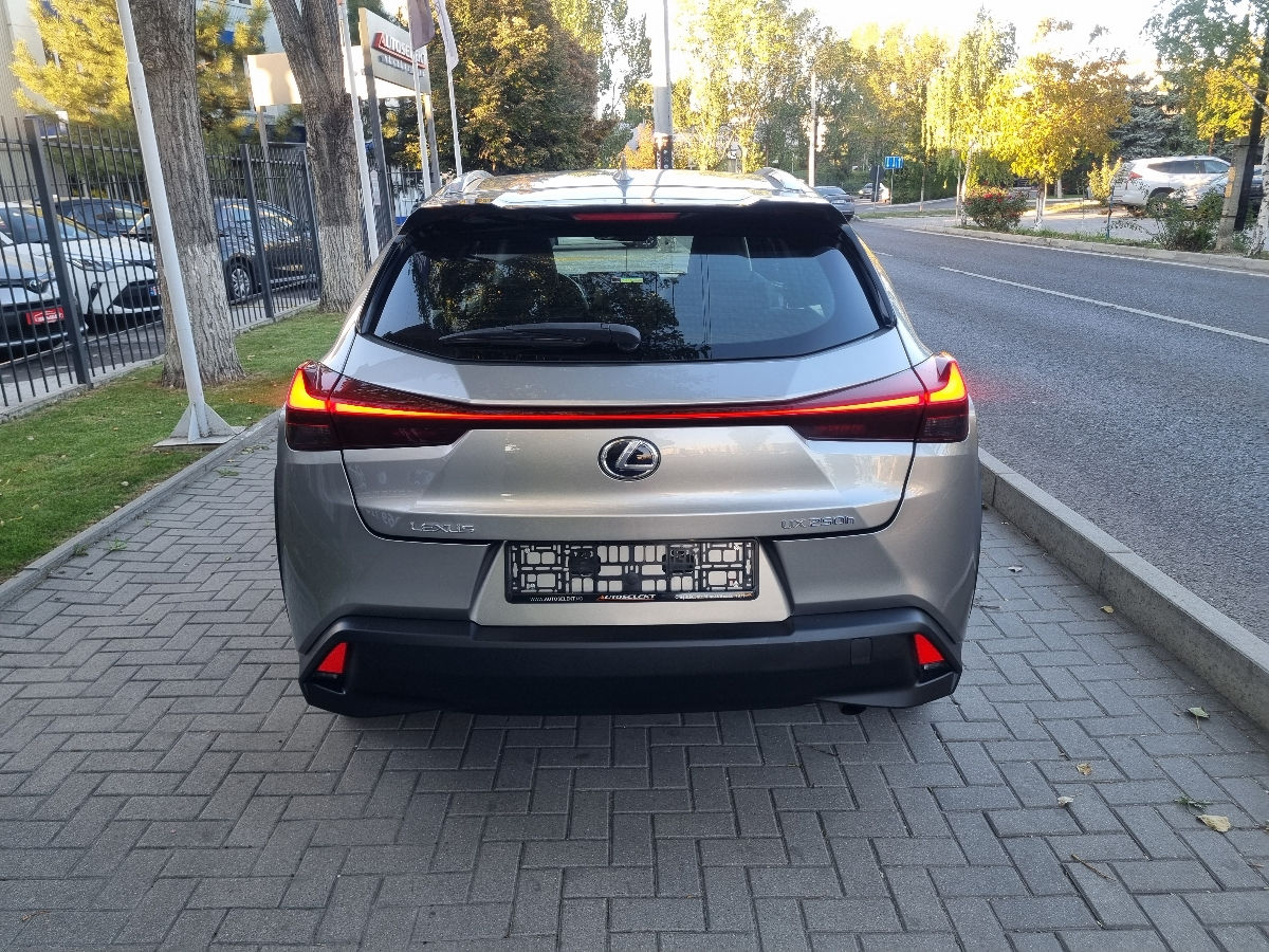 Lexus UX 2021 photo 6