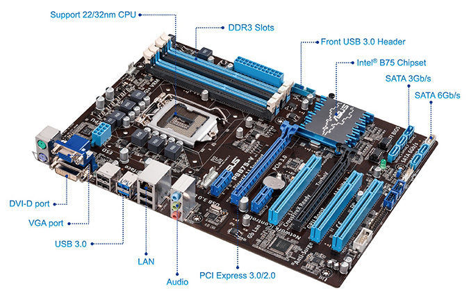 ASUS P8B75-V - motherboard - ATX - LGA1155 Socket - B75
