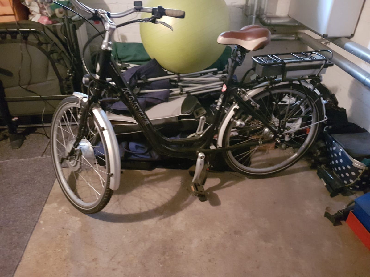Biciclete electrice foto 1