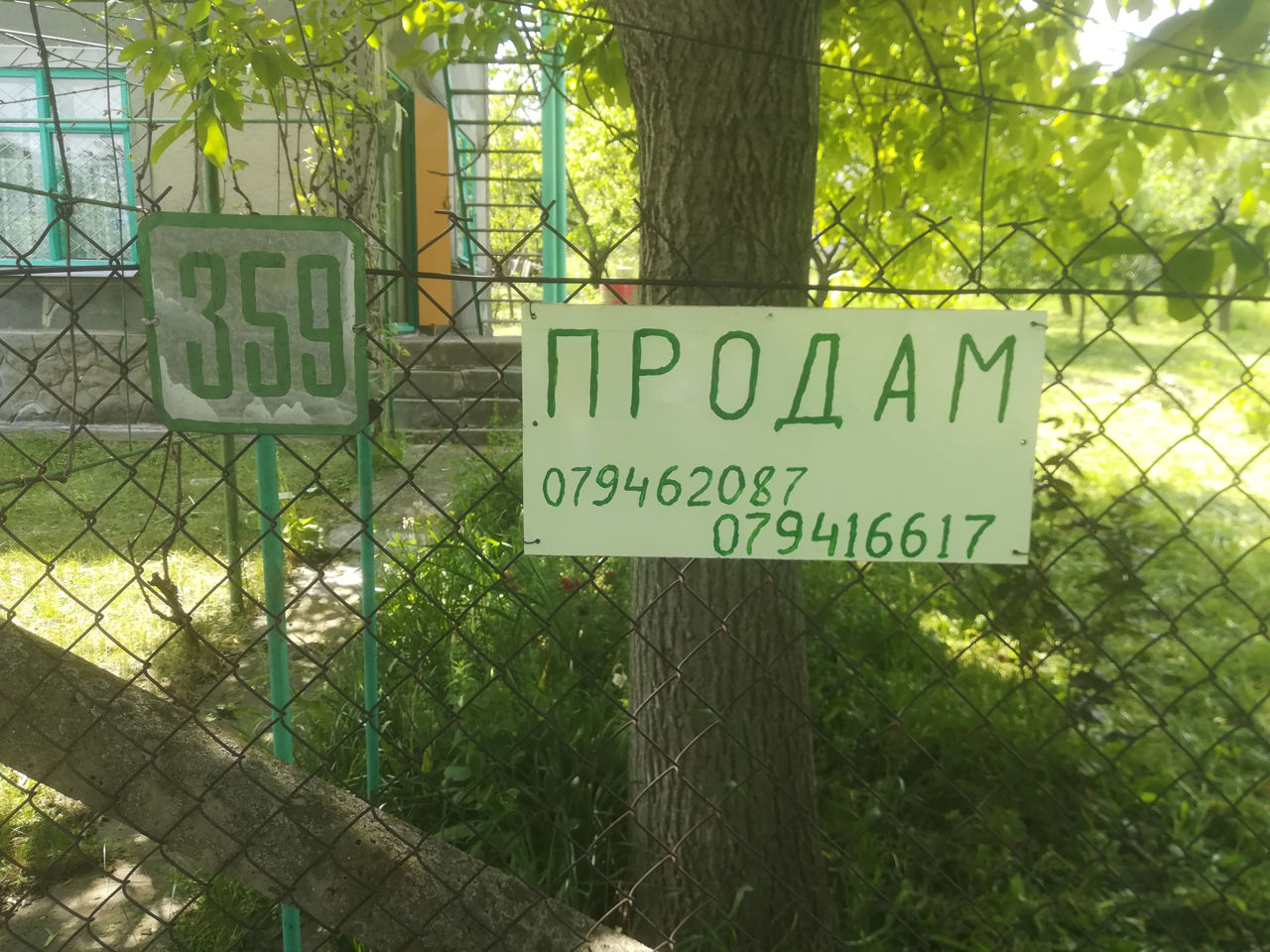 Продам дачу в сот эталон ( с. маринешты, 10км от бельц) foto 1