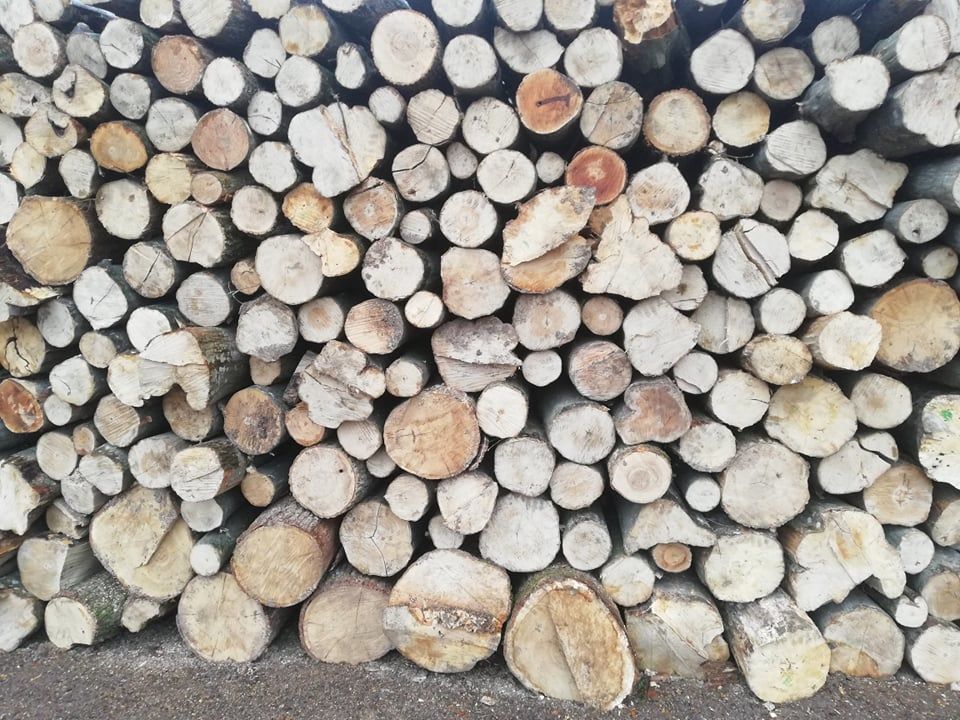 Lemn pentru foc si brichete.En- Gros. Livrare. Volume mari/ Дрова оптом. доставка foto 0