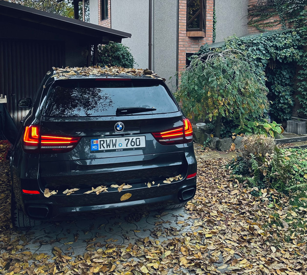 BMW X5 foto 2