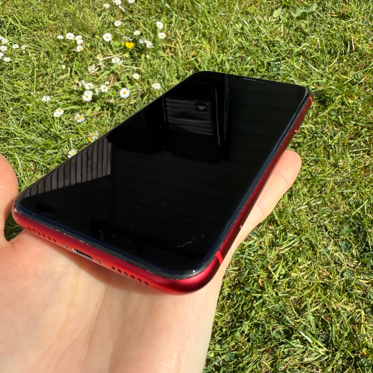 Apple iPhone 11 Red foto 3