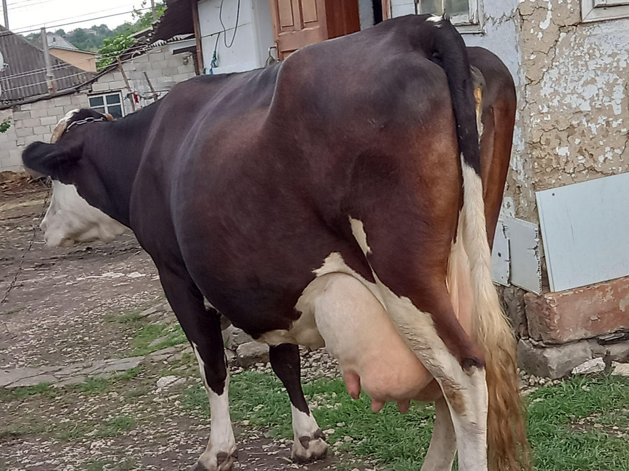 Продажа Фото 18