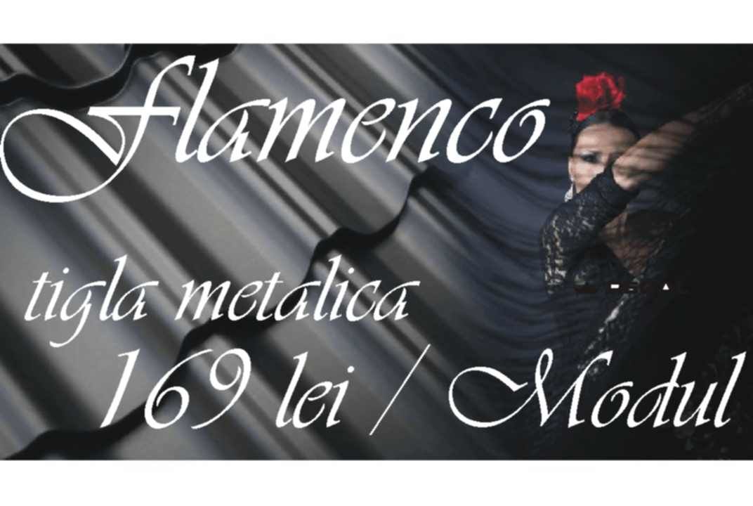 Tigla metalica 0.53mm flamenco 165 lei/modul 8017 mat, zink 275g/m2 фото 1