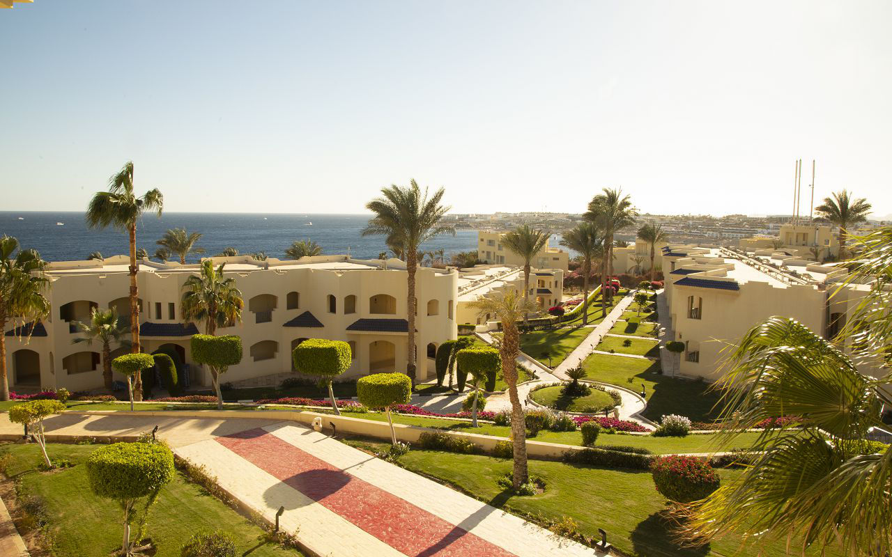 Grand Oasis Resort 4*+,Sharm EL Sheikh. Бухта Sharks Bay-хороший риф! foto 3