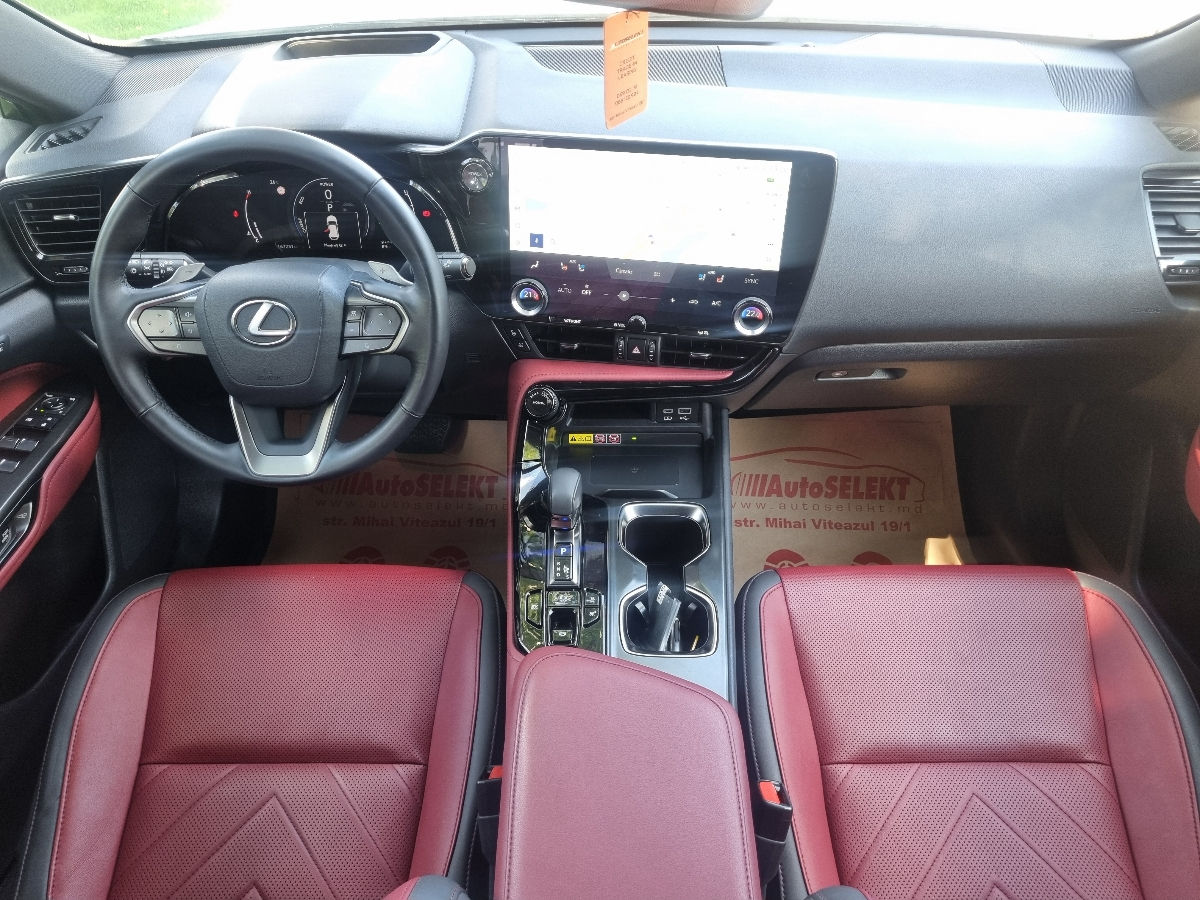 Lexus NX Series 2022 photo 11