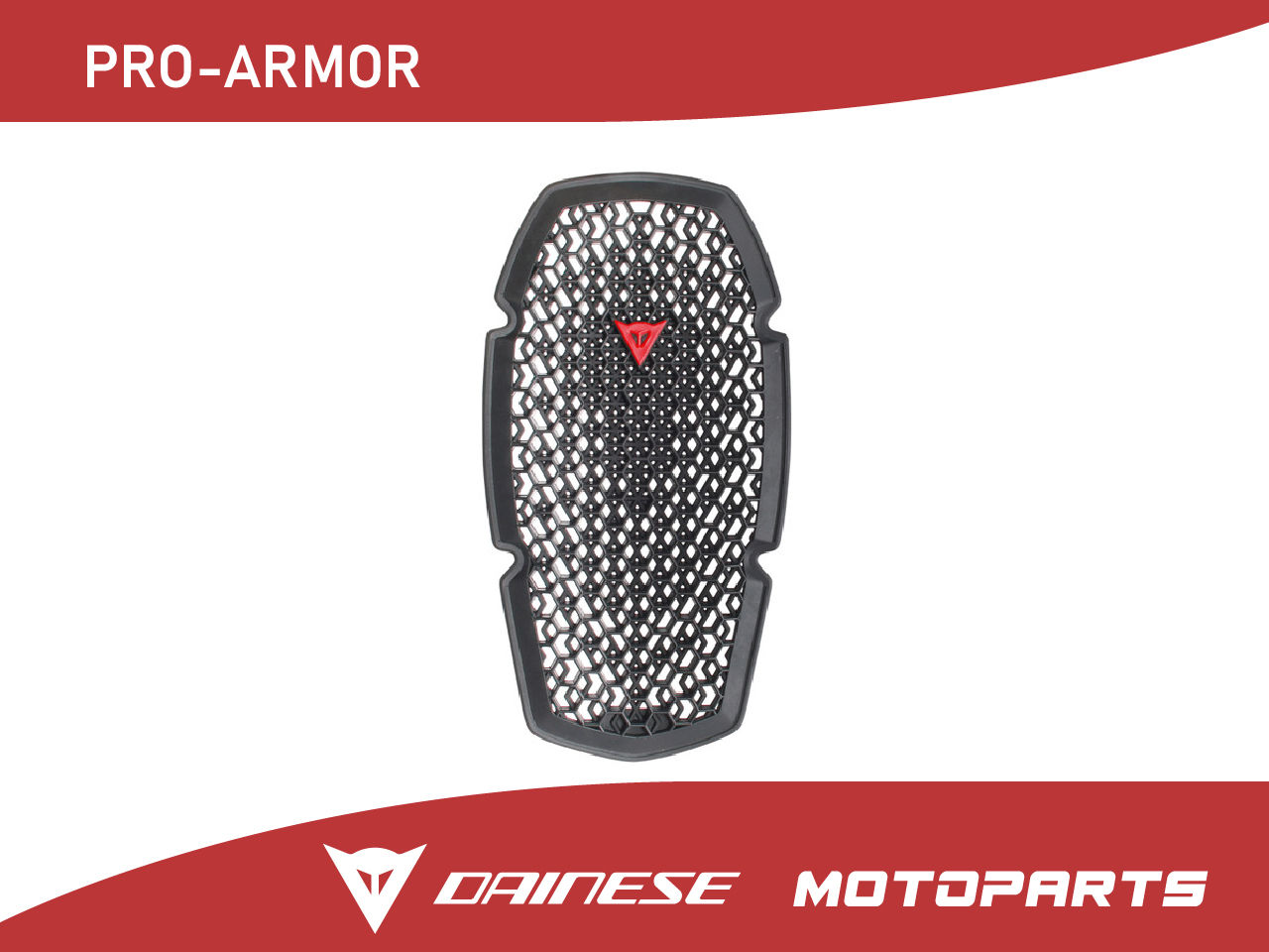 Echipament Moto Dainese / Мото экипировка фото 12