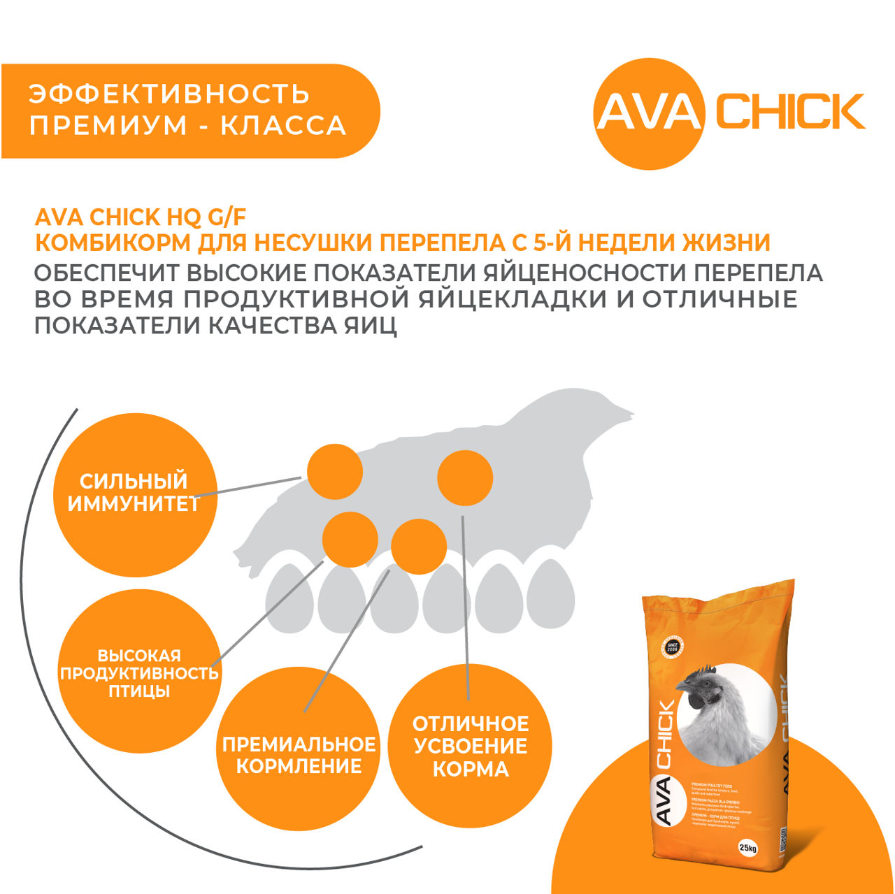 Furaj Pentru Ouă De Prepeliță Ava Chick Hq G/f . Pungă 25kg foto 2