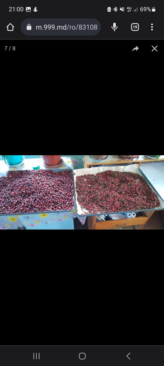 Deshidrator fructe ,legume ,carne ,peste foto 6