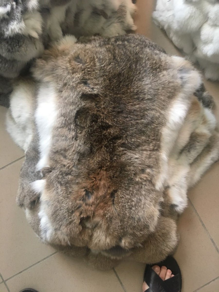 Куплю шкуры