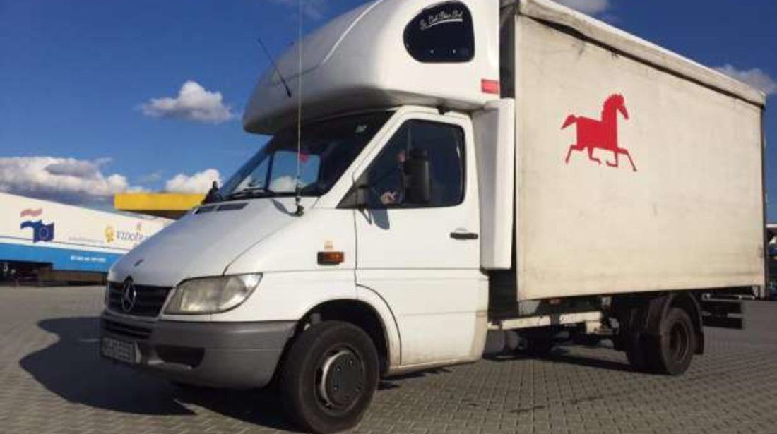 Mercedes Cumparam Busuri