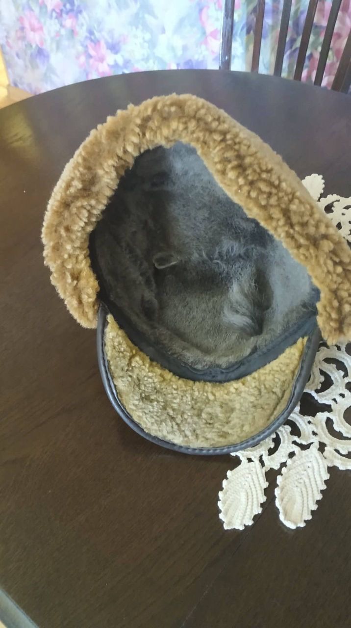 Кепка зимняя