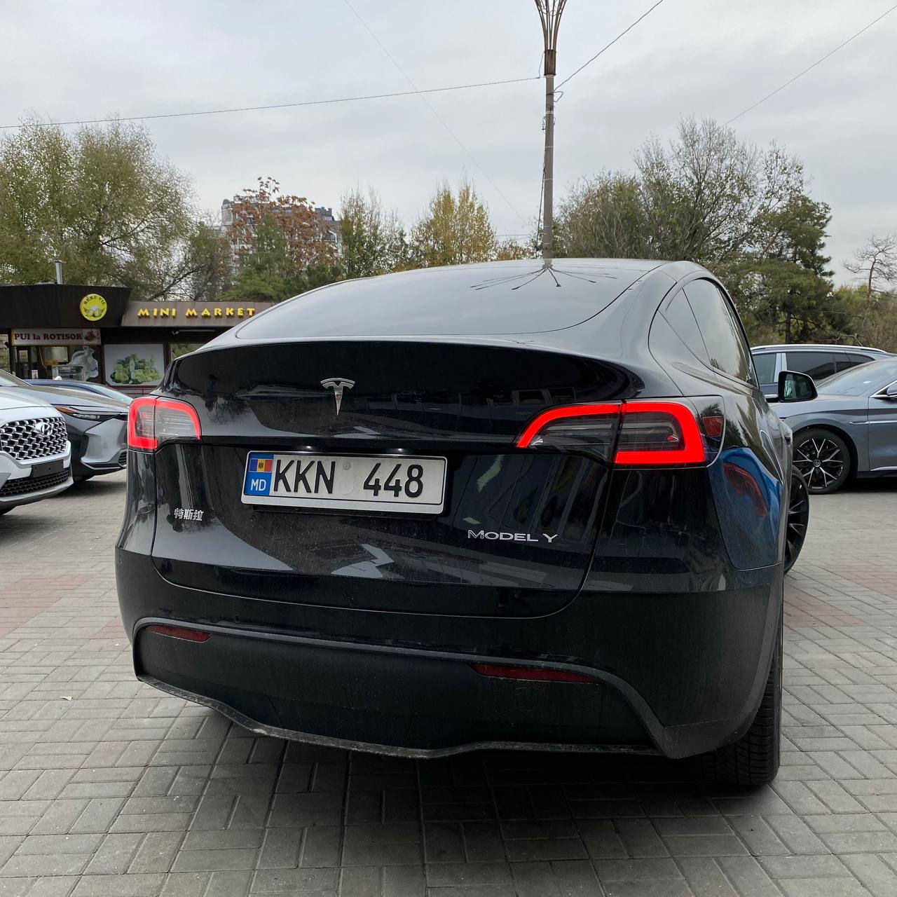 Tesla Model Y foto 2