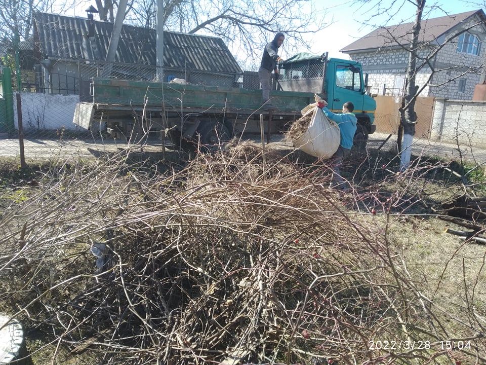 Уборка распущенных територий. Спил и выкорчевка деревьев. Curatirea si amenajarea terenurilor. foto 6