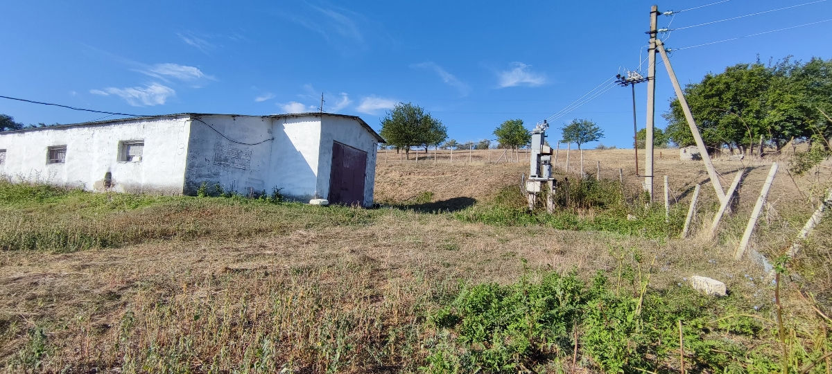 Ferma bovine păsări iepuri foto 0