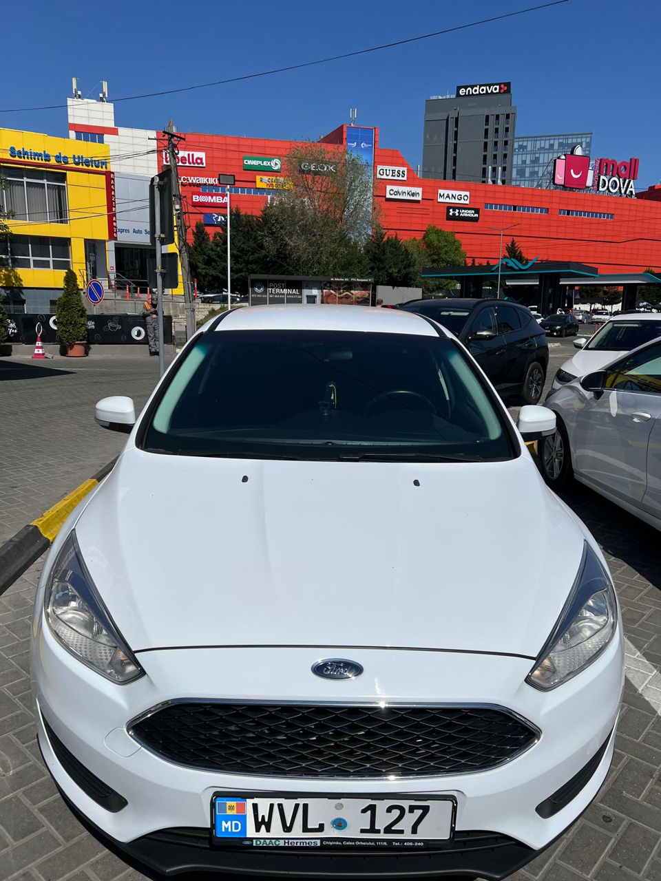 Ford Focus фото 0