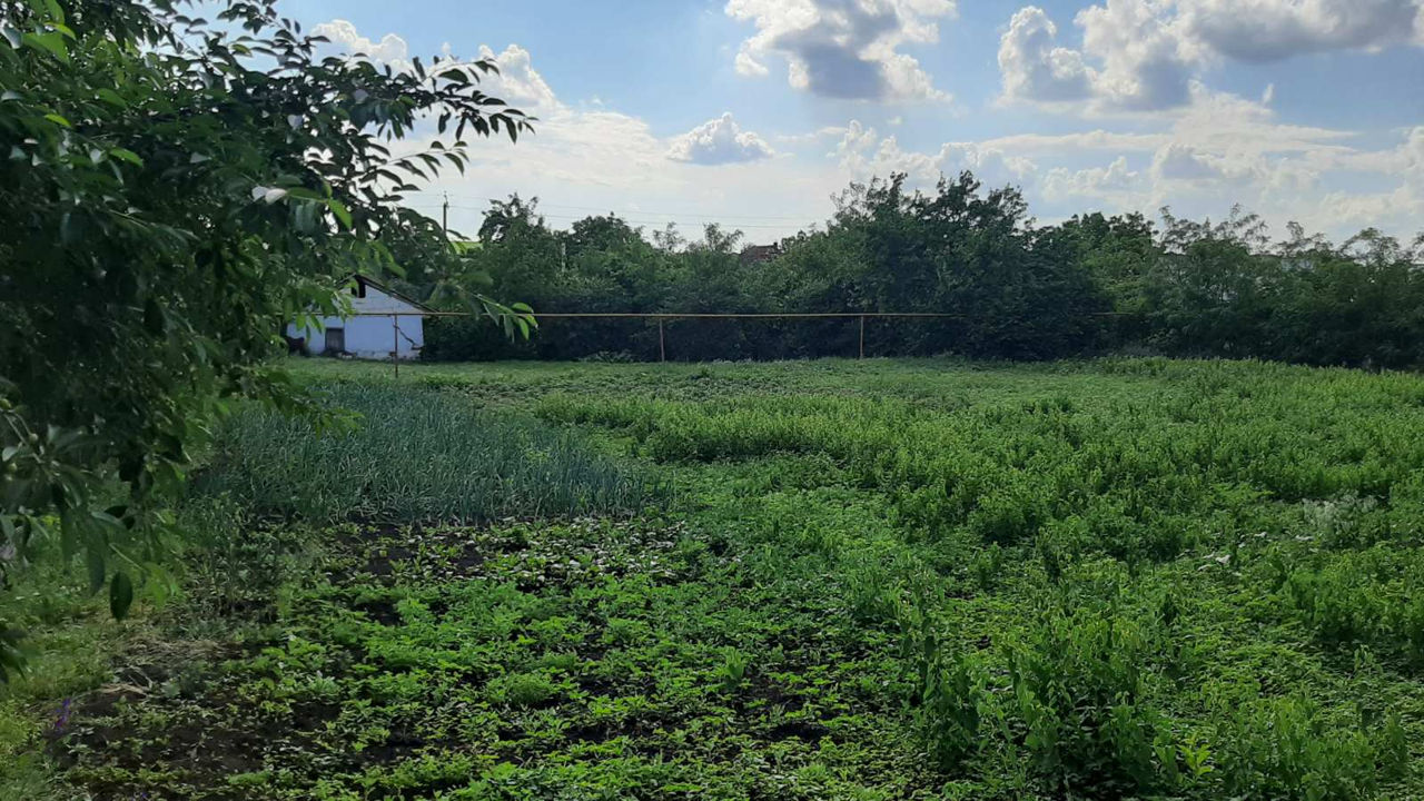 Lot pentru construcții 25 ari cu casa și beci în Berezlogi, Orhei фото 6