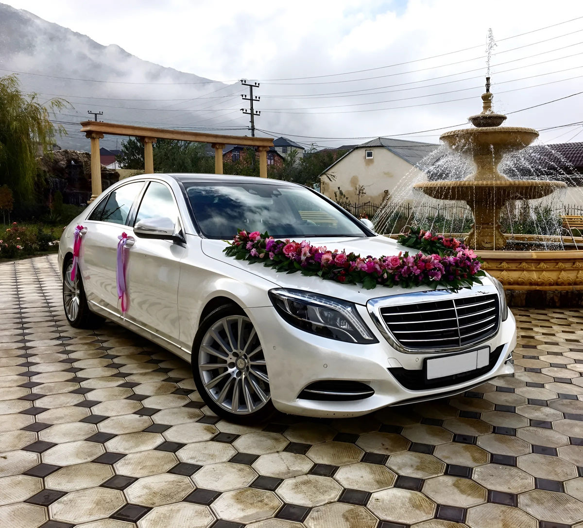 Mercedes-Benz S Class Long w222 foto 6