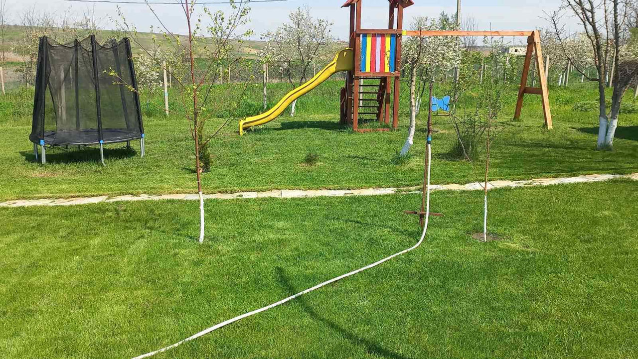 Foisor foto 5