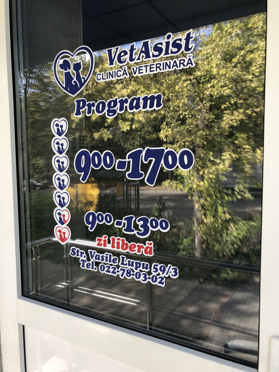 Clinica veterinara "vetasist" foto 7