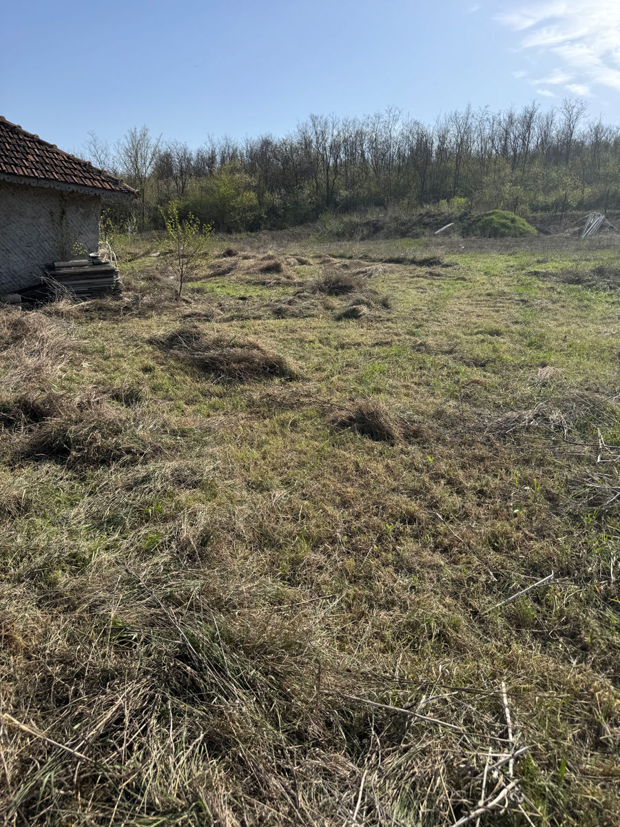 Покос газона с газонокосилкой или бурьяна с триммером. Вывоз травы тоже можем сделать отдельно. фото 4