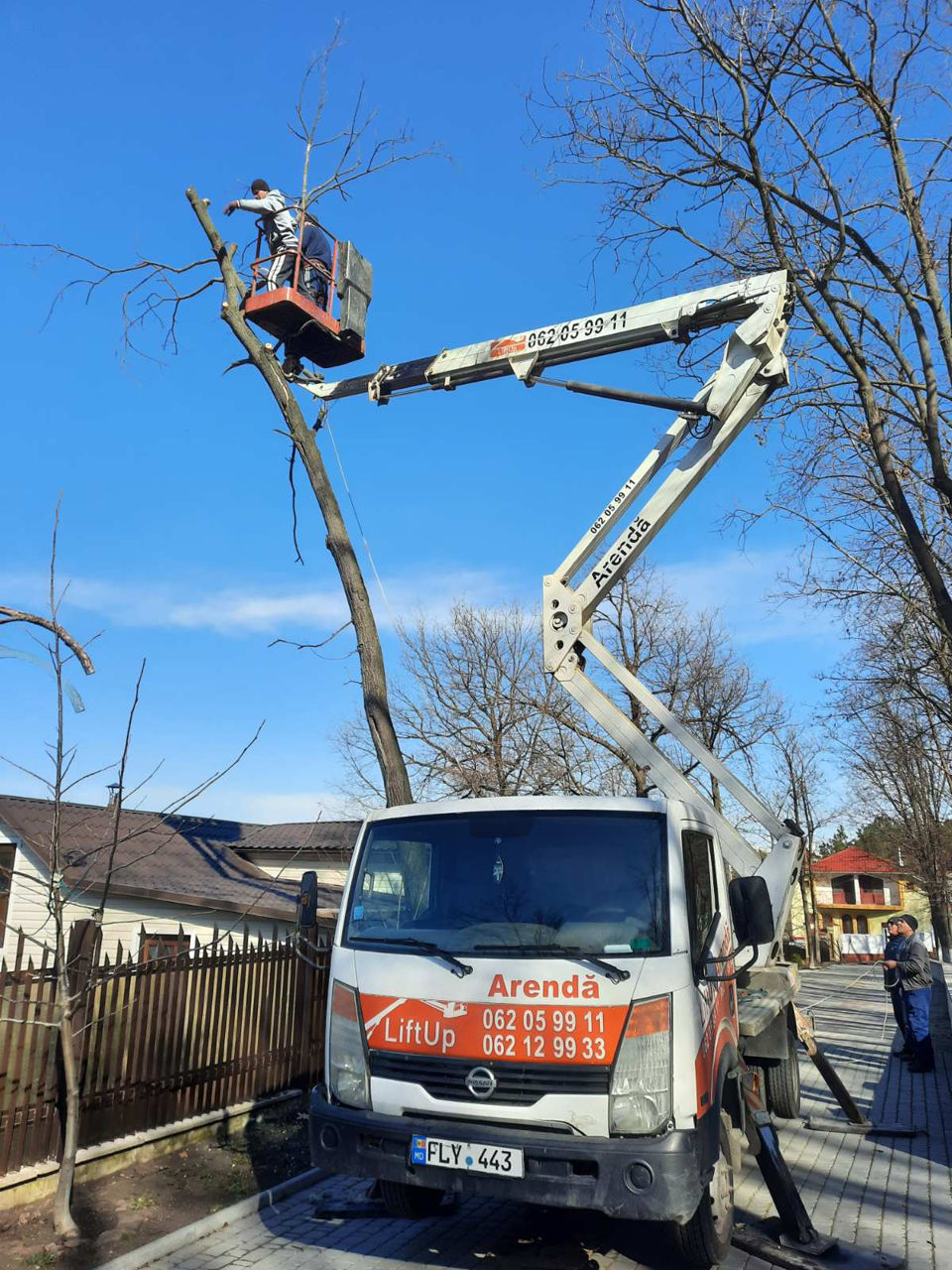 Servicii profesionale de defrișări! foto 1