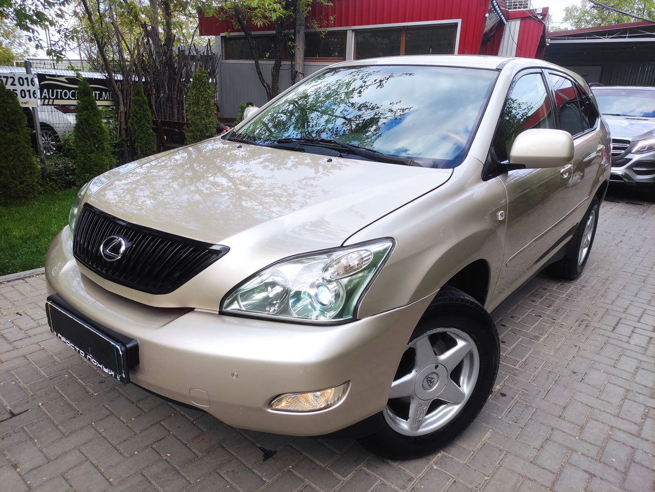 Lexus RX Series foto 12