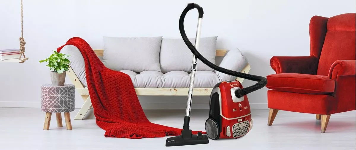 Aspirator cu sac Albatros 900W - Livrare în toată Moldova! Credit 0% foto 0