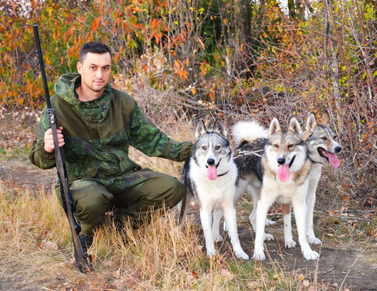 Охота с лайками. Лайка охотничья. Охота с лайками Сергей Бутаков. Охотник с лайкой для фотошопа.