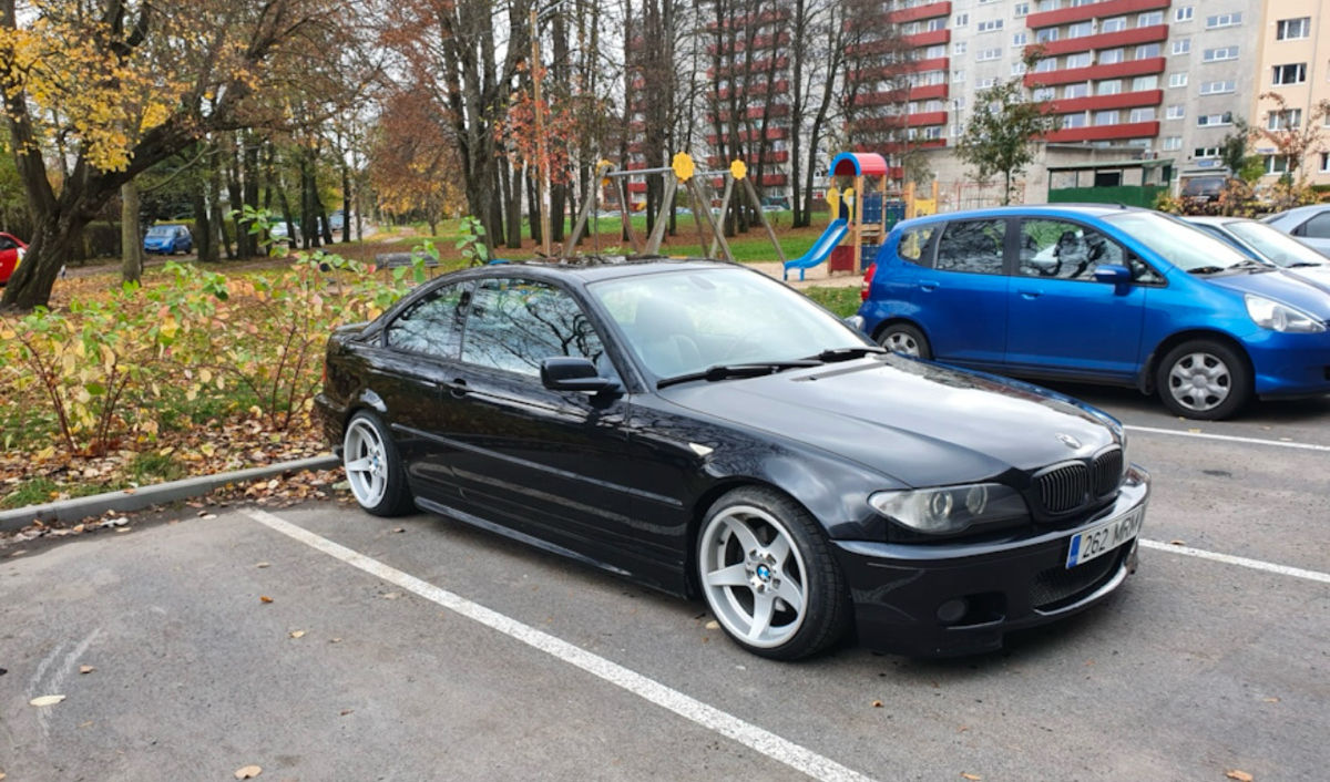 Rondell 0021 фото 7