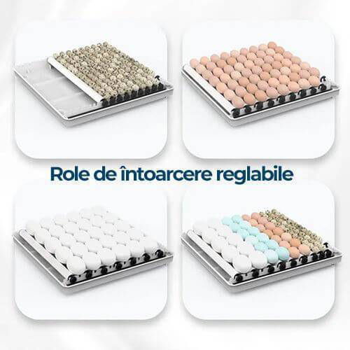 Incubatoare ouă Automate fii in rind cu tehnologiile noi foto 2