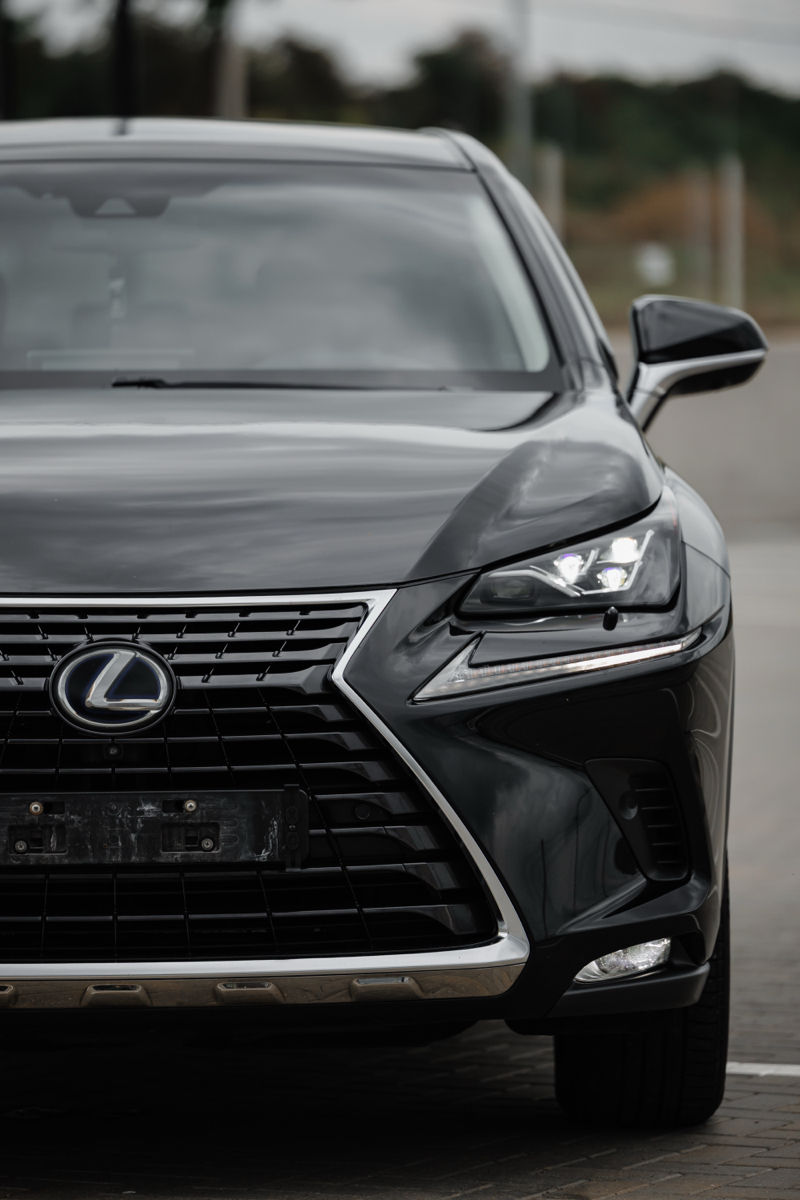 Lexus NX Series foto 9