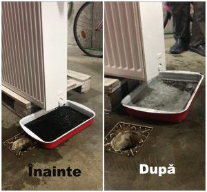 Spălare sistemului de încălzire autonomă foto 1