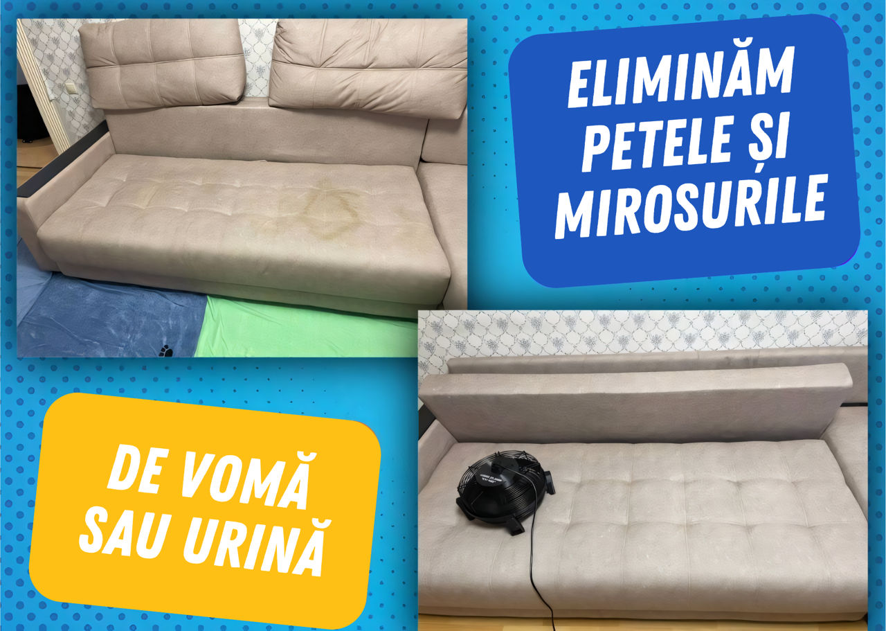 Curățare Chimică canapele/ saltele / scaune foto 5