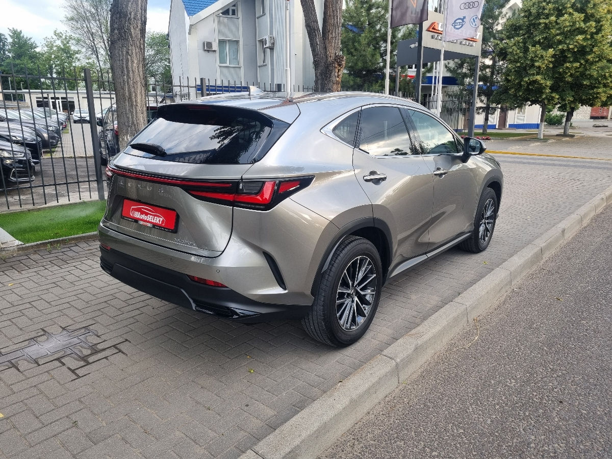 Lexus NX Series 2022 photo 5