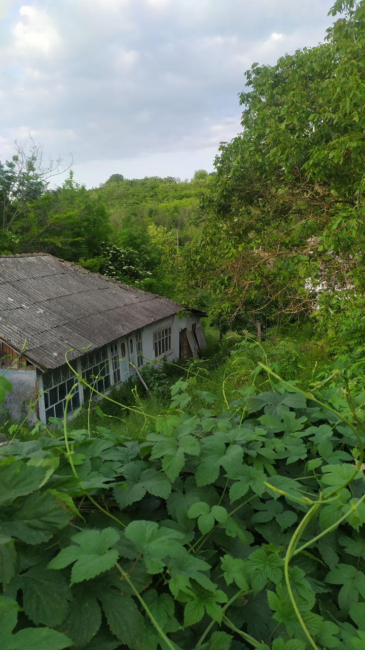 Casa cu teren foto 3