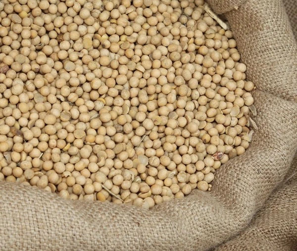 Soia boabe 8,50 lei/kg фото 0
