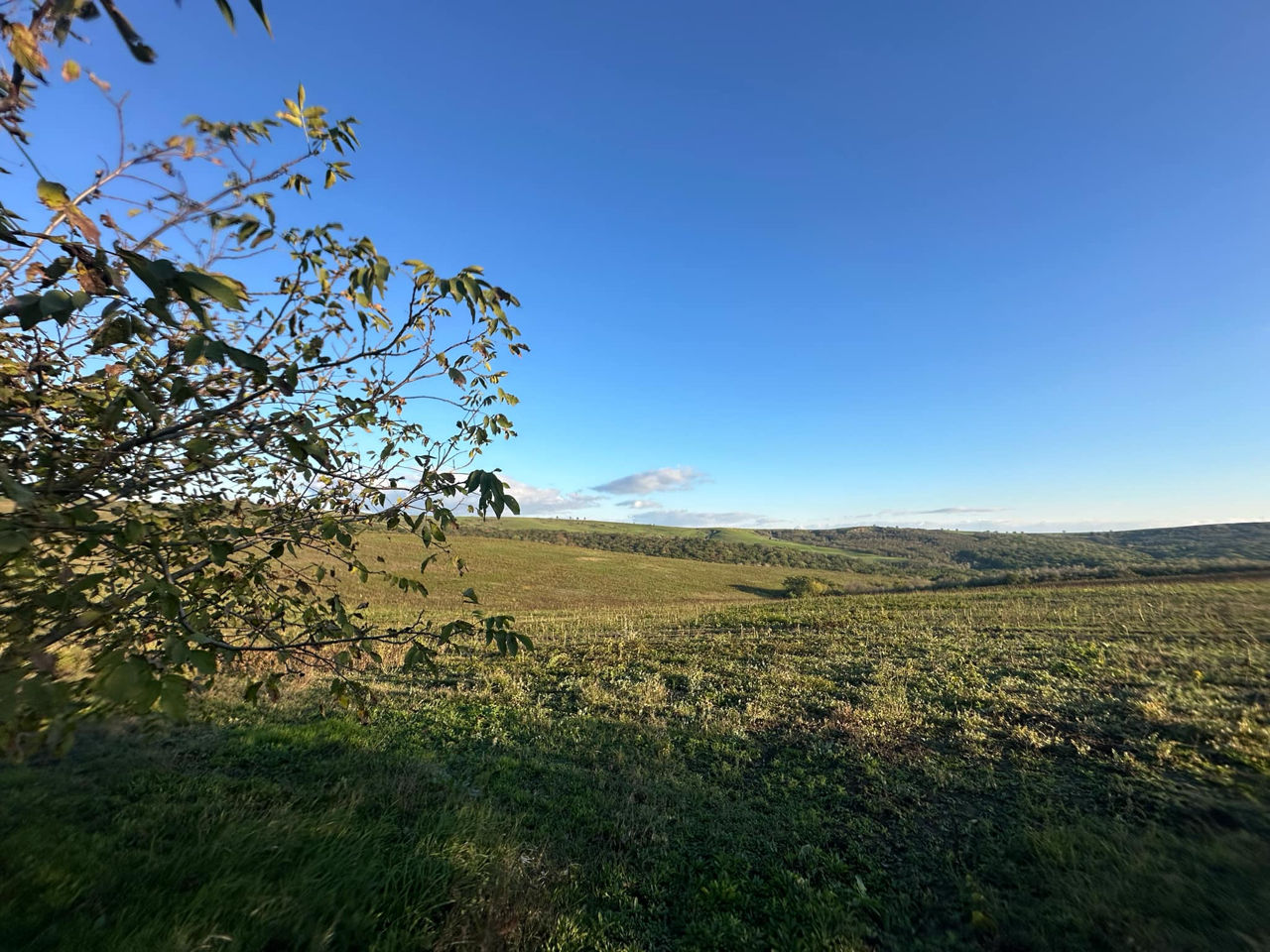 Vindem Teren Agricol cu Livadă 10ha+viță de vie 4ha+5ha  teren arabil. Țepoaia, comunaTigheci, Leova foto 15