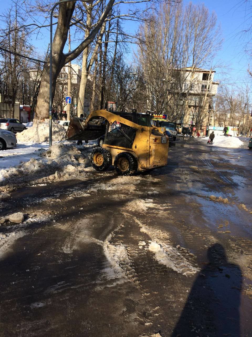 Taierea copacilor, crengilor, defrisare, aranjarea gradinilor, Пилим деревья. foto 7