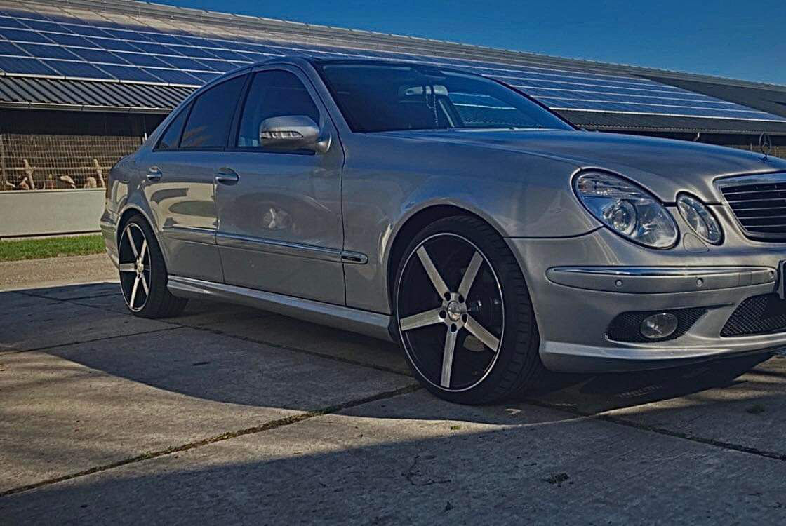 Vossen