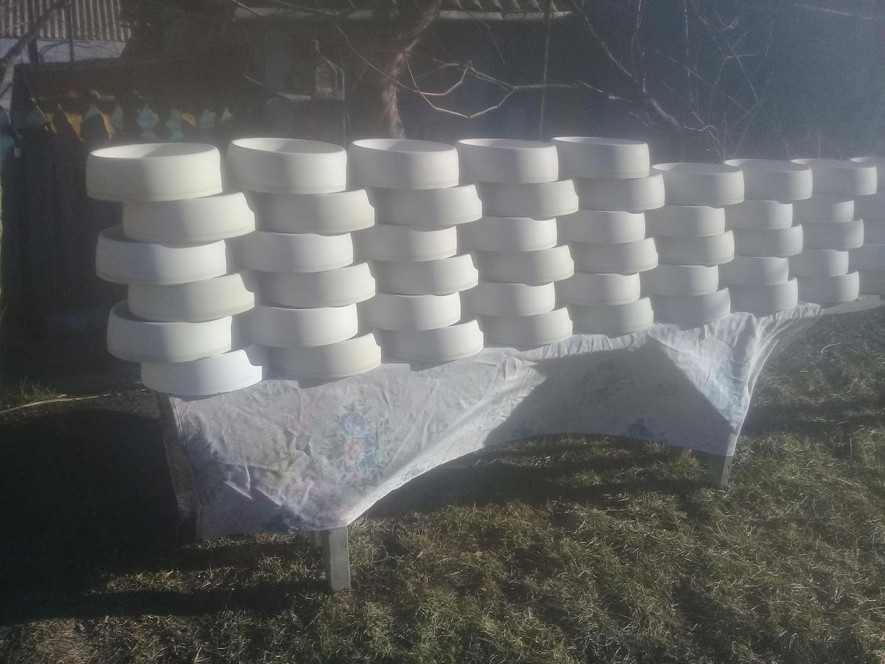 Porumbei foto 2