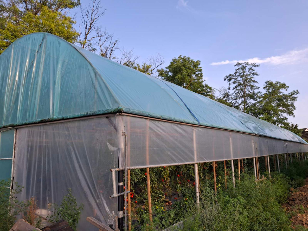 Se vinde seră profesională